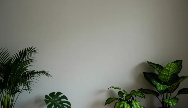 网站自助建站的推广者必知检查要点