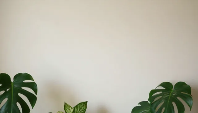 高端网站如何实现内容优化？